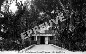 SP g- 08- St Pierre- Dames africaines- rue Beranger